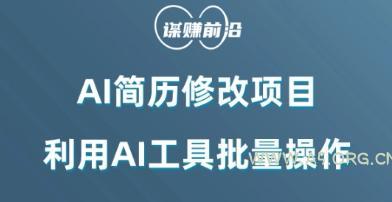 AI简历修改项目，利用AI工具批量化操作，小白轻松日200+-小红泡
