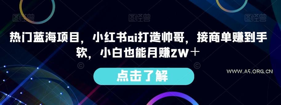 热门蓝海项目,小红书ai打造帅哥,接商单赚到手软,小白也能月赚2W+-小红泡