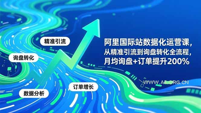 阿里国际站数据化运营课-11月,从精准引流到询盘转化全流程,月均询盘+订单提升200%-小红泡