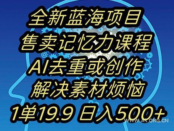 蓝海项目记忆力提升,AI去重,一单19.9日入500+【揭秘】-小红泡