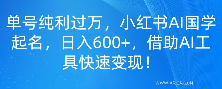 单号纯利过万,小红书AI国学起名,日入600+,借助AI工具快速变现-小红泡