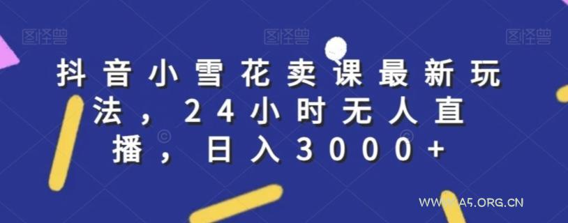抖音小雪花卖课最新玩法,24小时无人直播,日入3000+【揭秘】-小红泡