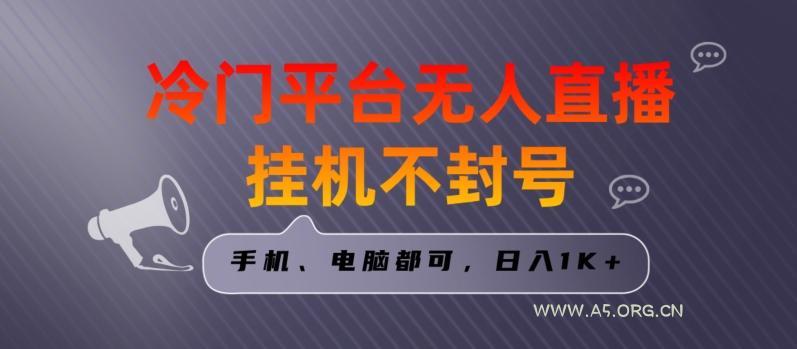 全网首发冷门平台无人直播挂机项目，三天起号日入1000＋，手机电脑都可操作小白轻松上手【揭秘】-小红泡