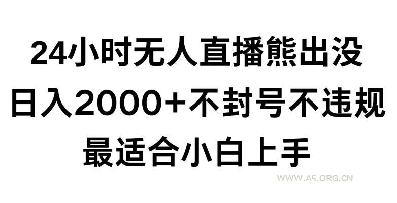 快手24小时无人直播熊出没，不封直播间，不违规，日入2000+，最适合小白上手，保姆式教学【揭秘】-小红泡