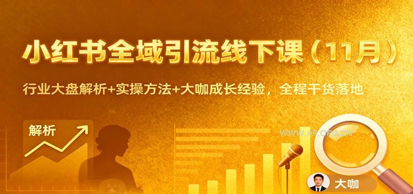 小红书全域引流线下课(11月)：行业大盘解析+实操方法+大咖成长经验，全程干货落地-小红泡
