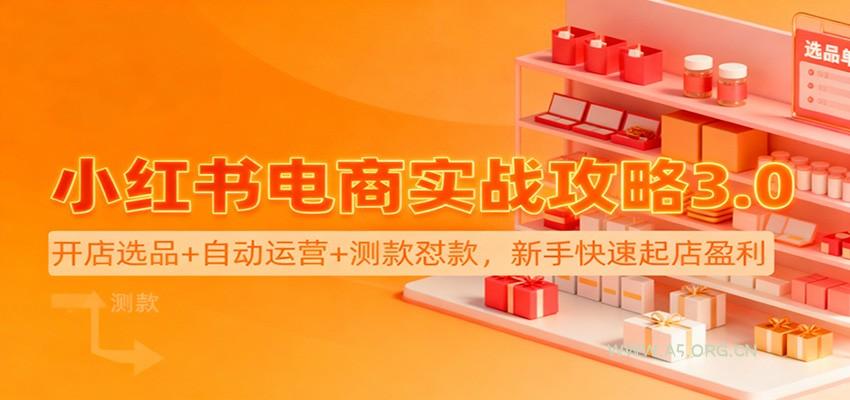 小红书电商实战攻略3.0：开店选品+自动运营+测款怼款，新手快速起店盈利-小红泡
