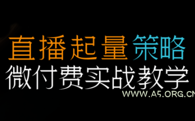 半野老师·直播带货起量与微付费必学课视频号-小红泡