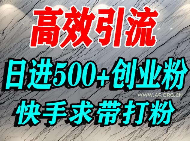 怎么打创业粉?快手求带视角精准引流创业粉,宝妈、学生群体日进500+精准流量-小红泡