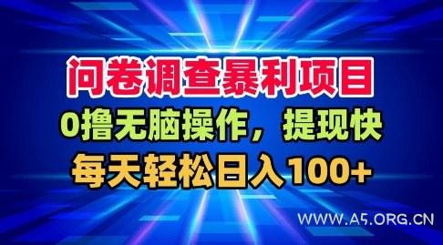 问卷调查暴利项目,0撸无脑操作,提现快,每天轻松日入100+【揭秘】-小红泡