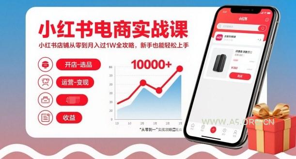 小红书电商实战课,小红书店铺从零到月入过1W全攻略,新手也能轻松上手-小红泡