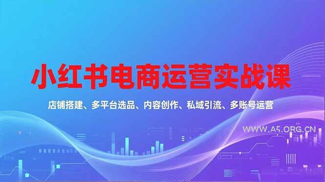 小红书电商运营实战课，店铺搭建、多平台选品、内容创作、私域引流、多账号运营等玩法-小红泡