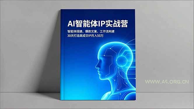 AI智能体IP实战营,智能体搭建、爆款文案、工作流构建,30天打造高成交IP月入50万-小红泡