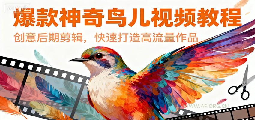 爆款神奇鸟儿视频教程,创意后期剪辑,快速打造高流量作品-小红泡
