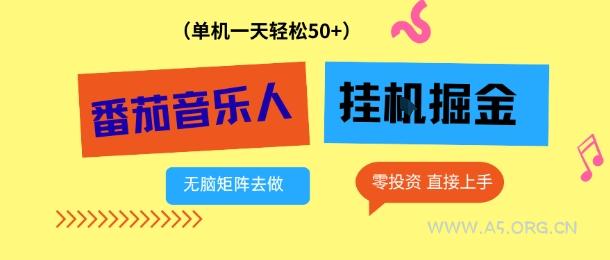 番茄音乐人挂G项目,多窗口去跑一天完稳定50+,零投资,简单无脑【揭秘】-小红泡
