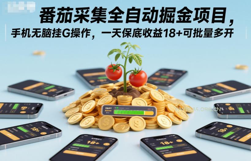 番茄采集全自动掘金项目,手机无脑挂G操作,一天保底收益18+可批量多开【揭秘】-小红泡