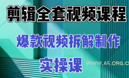 冰糖老师·AI视频制作实操课程(更新11月)-小红泡