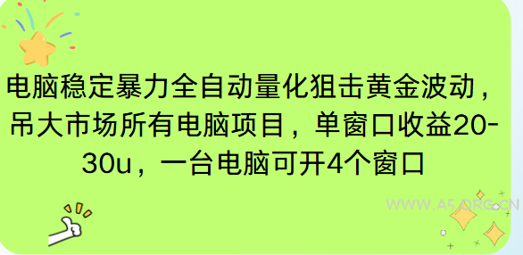 电脑EA策略挂机项目单窗口收益20-30u，单电脑可挂5-10个窗口收益稳健4位数-小红泡