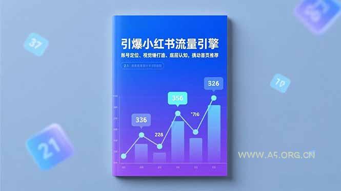 引爆小红书流量引擎，账号定位、视觉锤打造、底层认知，撬动首页推荐-小红泡