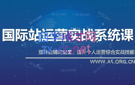 白老师·国际站运营实战系统(高质量询盘增长课)(部分更新)-小红泡