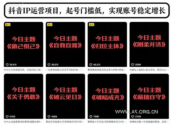抖音IP运营项目,抖音今日主题玩法,起号门槛低,实现账号稳定增长-小红泡