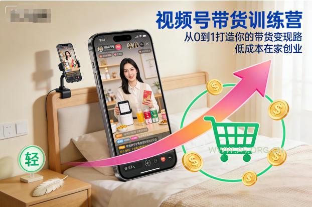 视频号带货训练营，从0到1打造你的带货变现路，低成本在家创业-小红泡