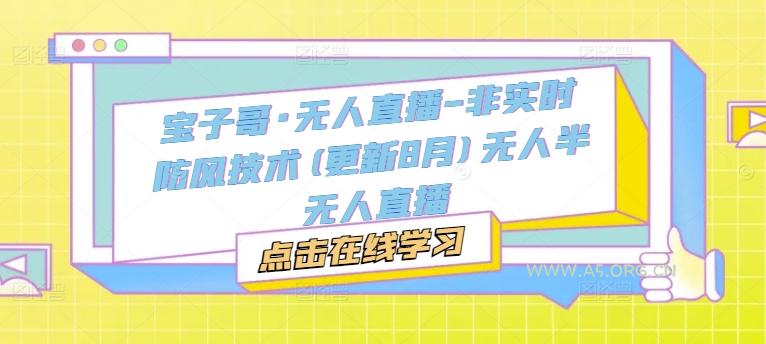 宝子哥·无人直播-非实时防风技术(更新25年12月)无人半无人直播-小红泡