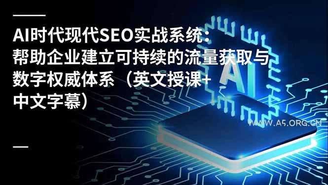 AI时代现代SEO实战系统:帮助企业建立可持续的流量获取与数字权威体系(英文授课+中文字幕-小红泡
