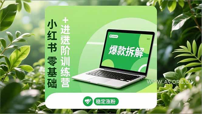 小红书零基础+高阶训练营:安全养号、爆款拆解、长效运营,实现稳定涨粉与变现-小红泡