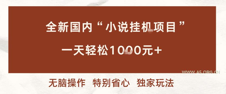 全新国内小说挂G项目,多窗口无脑跑,一天轻松1k+,特别省心【揭秘】-小红泡
