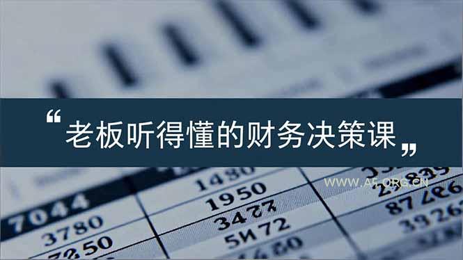 老板能听得懂的财务决策课,报表解读、数据洞察、风险识别,用财务驱动业务增长-小红泡