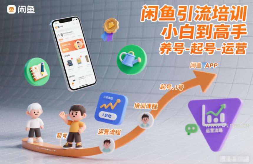 闲鱼引流培训，小白到高手，养号-起号-运营-小红泡