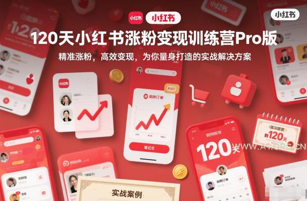 120天小红书涨粉变现训练营Pro版，​精准涨粉，高效变现​，为你量身打造的实战解决方案-小红泡