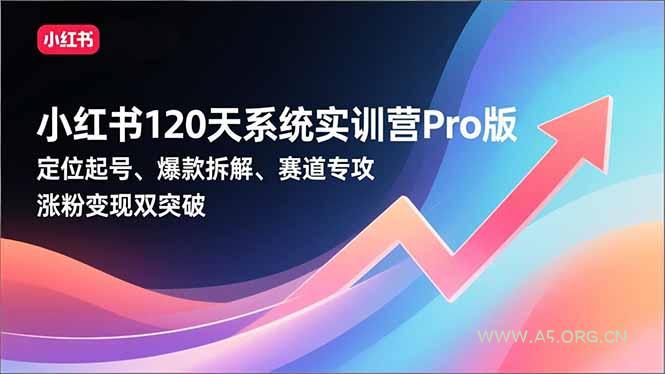 小红书120天系统实训营Pro版，定位起号、爆款拆解、赛道专攻，实现涨粉变现双突破-小红泡