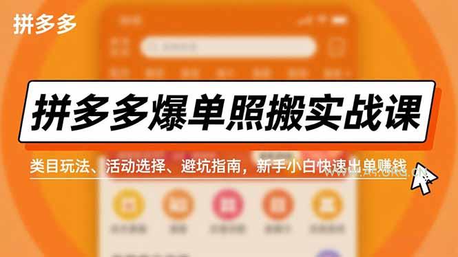 拼多多爆单照搬实战课，类目玩法、活动选择、避坑指南，新手小白快速出单赚钱-小红泡