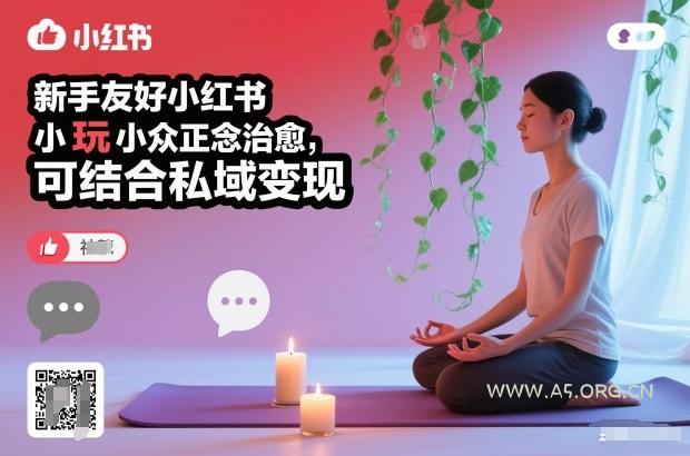 新手友好小红书小众正念治愈,玩法简单,可结合私域变现-小红泡