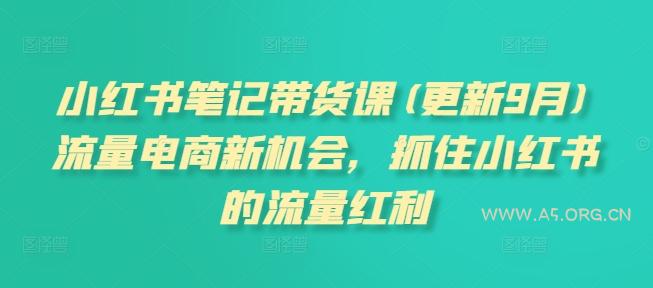 小红书笔记带货课(更新25年12月)流量电商新机会，抓住小红书的流量红利-小红泡