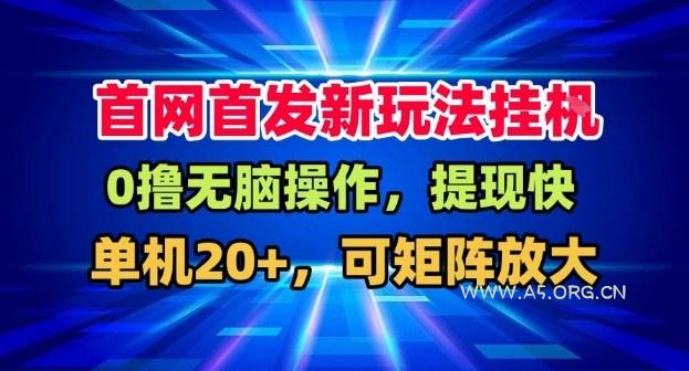 全网首发挂G，盒子自动賺米，单机20+，可矩阵放大，长期稳定运营【揭秘】-小红泡