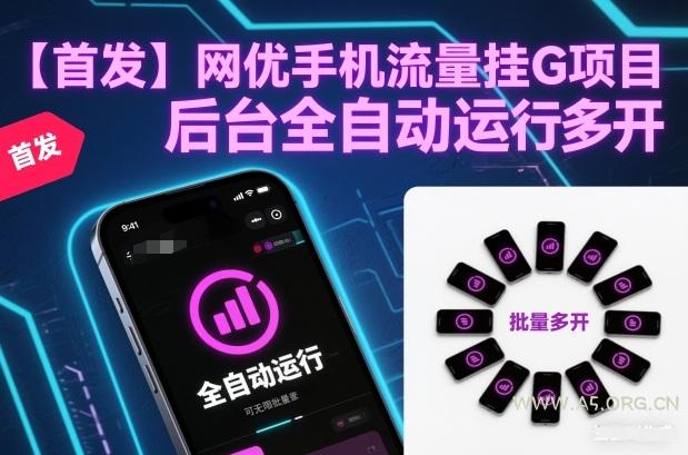 【首发】网优手机流量挂G项目，后台全自动运行，可无限批量多开【揭秘】-小红泡