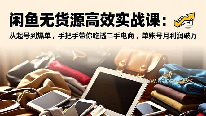闲鱼无货源高效实战课:从起号到爆单,手把手带你吃透二手电商,单账号月利润破万-小红泡