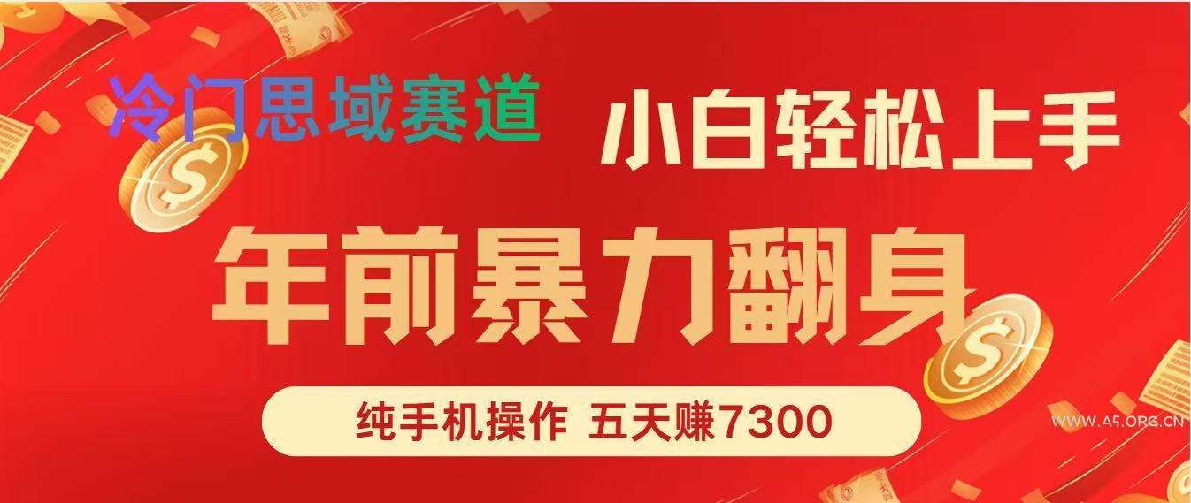 年前爆火项目,5天赚了7300-小红泡