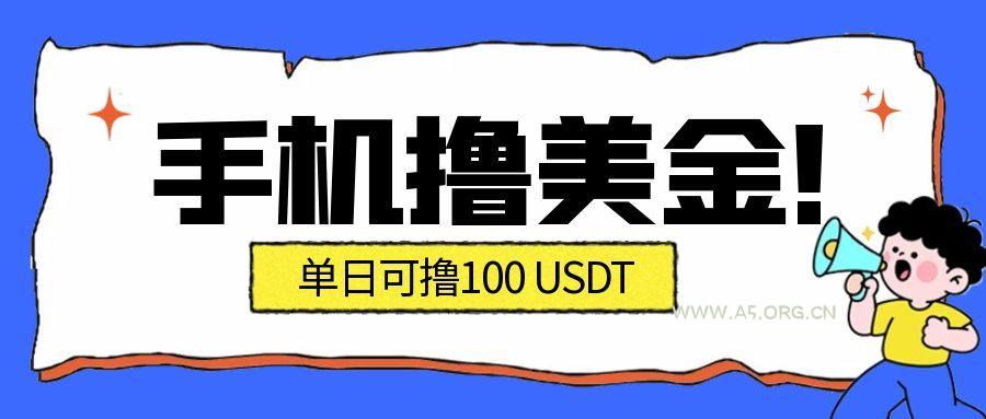 最新手机撸美金项目，单日产值100U+，2026年最新的风口项目-小红泡