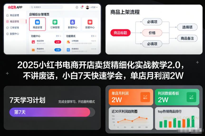 2025小红书电商开店卖货精细化实战教学2.0，不讲废话，小白7天快速学会，单店月利润2W-小红泡