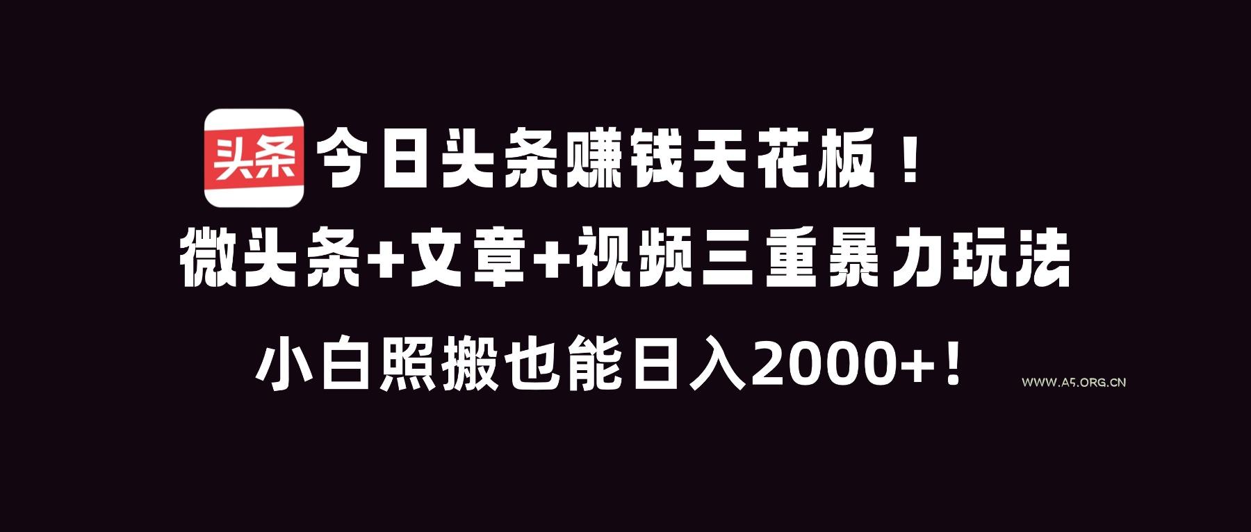 今日头条赚钱天花板!微头条+文章+视频三重暴利玩法,小白照搬也能日人2000+-小红泡