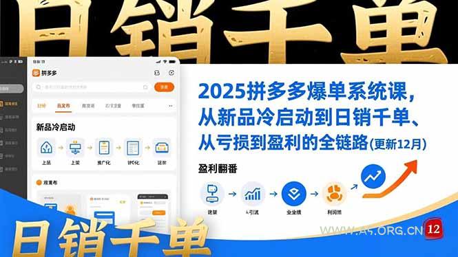 2025拼多多爆单系统课,从新品冷启动到日销千单、从亏损到盈利的全链路(更新12月-小红泡