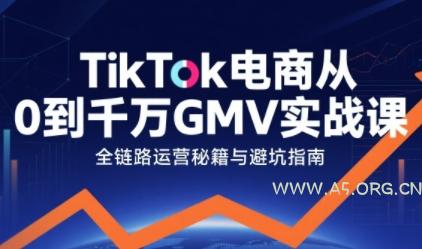 TikTok电商从0到千万GMV实战课,从0到1拆解实战秘籍(更新)-小红泡