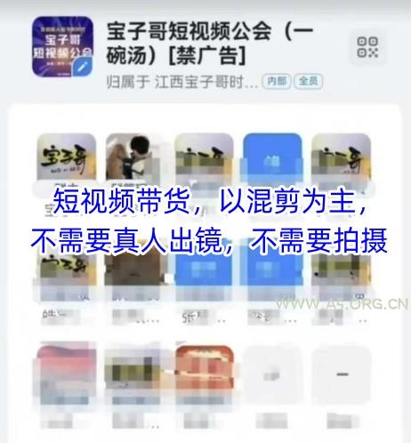 宝子哥头部团队短视频带货，以混剪为主，不需要真人出镜，不需要拍摄【更新11月】-小红泡
