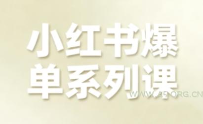 小红书爆单系列课，聚焦小红书电商全链路增长(更新)-小红泡