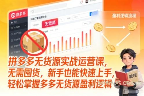 拼多多无货源实战运营课，无需囤货，新手也能快速上手，轻松掌握多多无货源盈利逻辑-小红泡