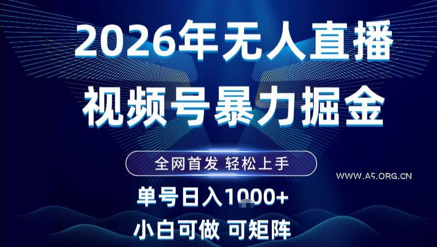 2026最新视频号无人直播掘金,全网首发,小白可以玩,长期稳定日入1k+【揭秘】-小红泡