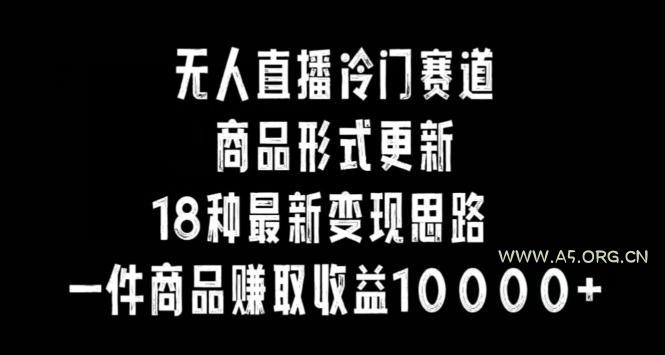 无人直播冷门赛道，商品形式更新，18种变现思路，一件商品赚取收益10000+【揭秘】-小红泡